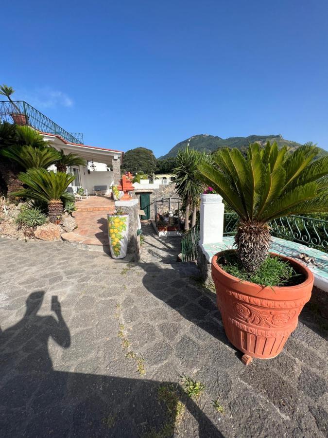 Forio di Ischia Blu Panorama B&B 외부 사진