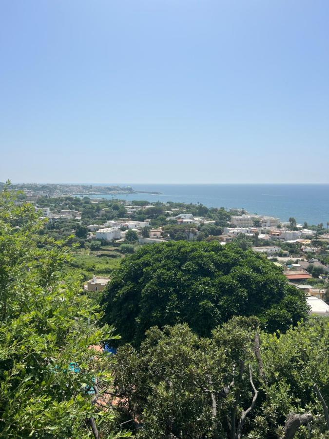 Forio di Ischia Blu Panorama B&B 외부 사진